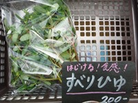 140629f0035.jpg