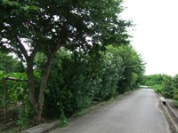 2011_072300010008.JPG