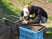2012_04100015.JPG