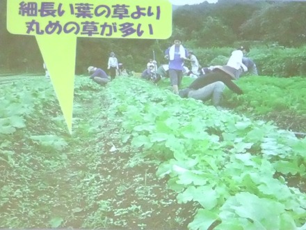 2012_0517namagami0044.JPG