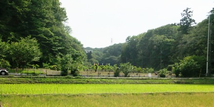 2012_0524jike0032.JPG