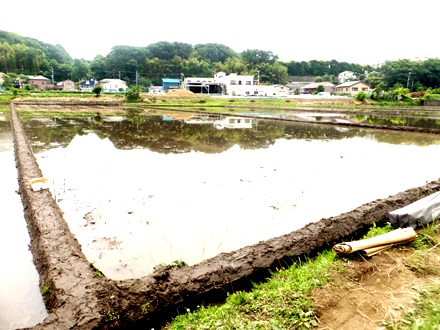 2012_0602en0003.JPG