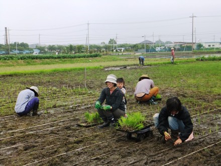 2012_0603shizen0028.JPG