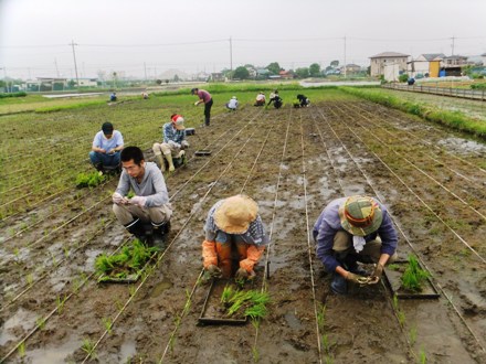 2012_0603shizen0031.JPG