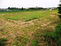 2012_0617ichigao0034.JPG