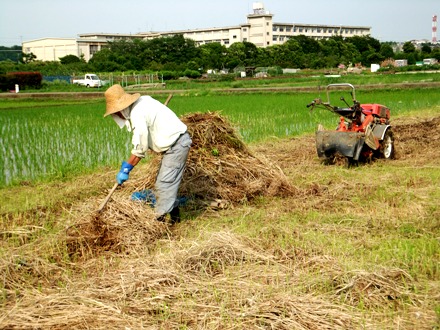 2012_0617ichigao0037.JPG