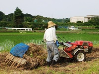 2012_0617ichigao0041.JPG