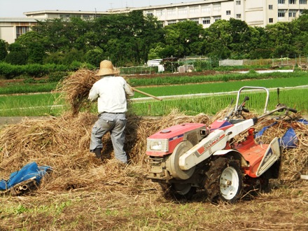 2012_0617ichigao0049.JPG