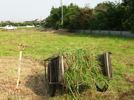 2012_0617ichigao0050.JPG