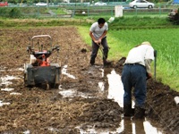 2012_0620ichigao0004.JPG