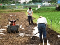 2012_0620ichigao0005.JPG