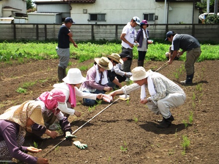 2012_0716tsurugasima0029.JPG