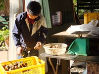 2012_1108nanairo0014.jpg