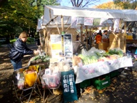 2012_1118tsuchihei20168.JPG
