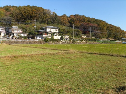 2012_1125nouni-ff0007_440x330.JPG