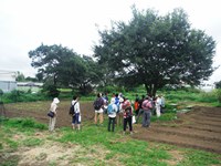 2015-08-29-5376.jpg
