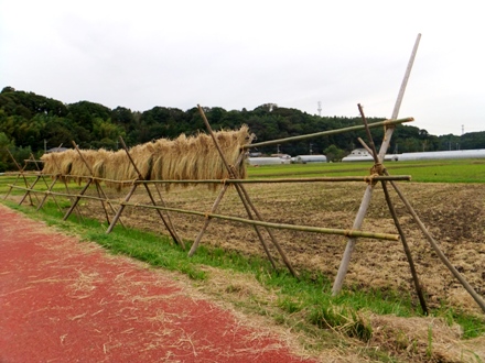 f2012_1014kozaki0003.JPG