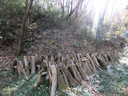 f2012_1219nouni0120.JPG