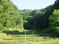 f2013_0524namakemono0015.JPG