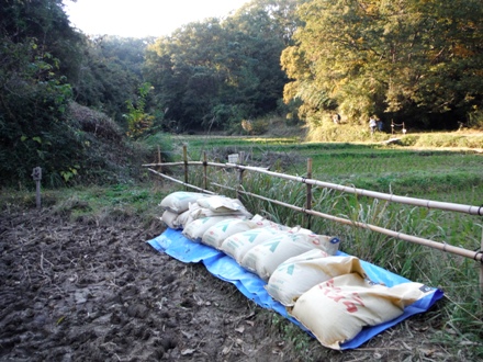 f2013_1117ytoda0108.JPG