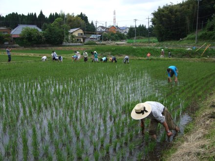 100613kusatori_tuchinogakko.JPG