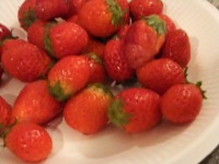 2012_0427yae0076.JPG